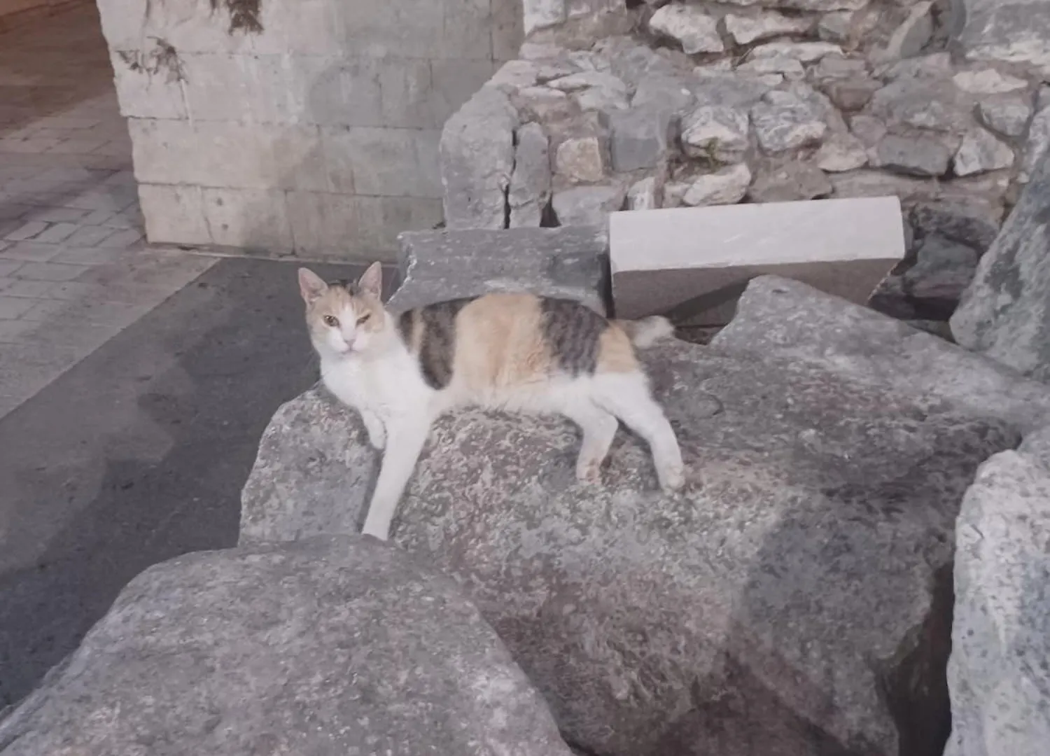 Hostel Habibi Come Tu Silver Gate Diocletians Palac Split Kroatien