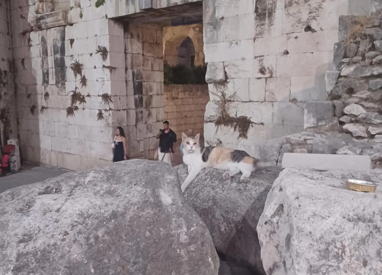 Habibi Come Tu Silver Gate Diocletians Palac Split